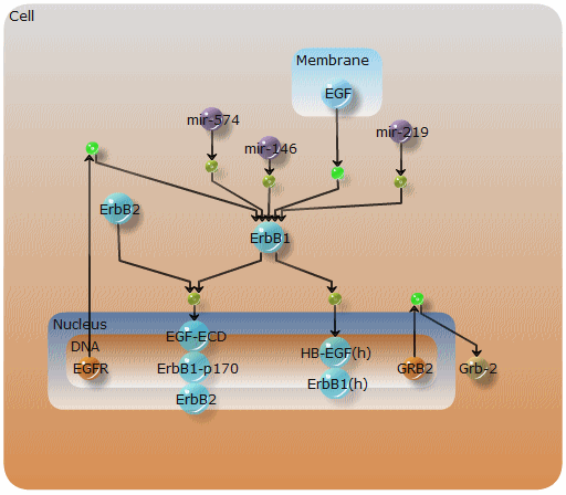 compartment layout