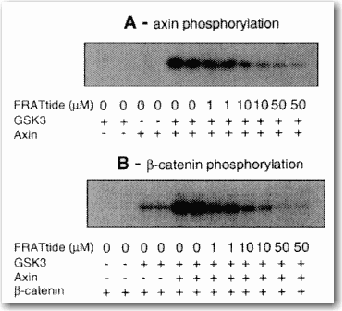 Data example