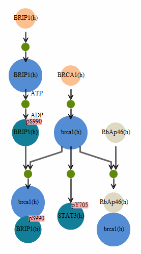 Hierarchical view