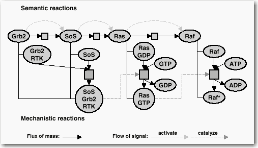 Semantic versus Mechanistic Notation