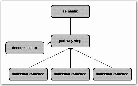 Reaction Hierarchy