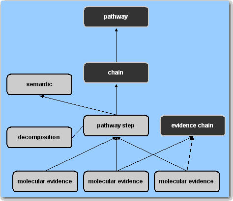 Pathways and Chains in the Reaction Hierarchy